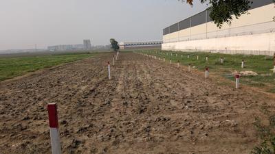 Image of 1200 Sq.ft Residential Plot / Land for sale in Kothiya, Patna for Rs. 6500000