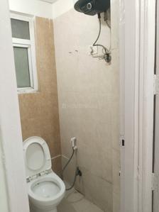 Bathroom Image of 550 Sq.ft 1 BHK Apartment / Flat for sale in RG Residency, Sector 120 Noida for Rs. 6200000