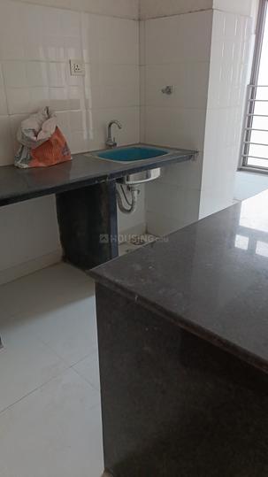 Prasad Rare Earth Main Image 1