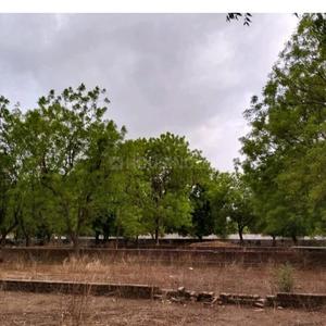 Shree Ram Plot View 2