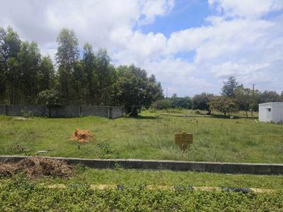 Residential Plot