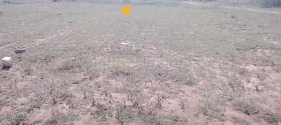 Image of 3293 Sq.ft Residential Plot / Land for sale in Maruthamalai, Coimbatore for Rs. 6805894