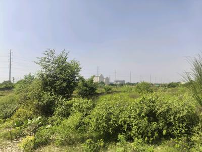 Image of 100 Sq.ft Residential Plot / Land for sale in Bhanauta, Greater Noida for Rs. 3512600