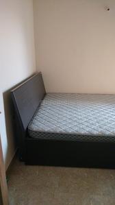 Bedroom Image of 1450 Sq.ft 3 BHK Apartment / Flat for rent in Kadamtala Siliguri for Rs. 35000