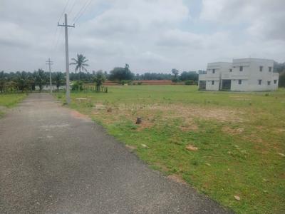 Image of 1200 Sq.ft 1 BHK Apartment / Flat for sale in Othakalmandapam, Coimbatore for Rs. 525000