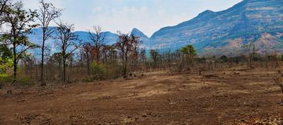 Image of 43560 Sq.ft Residential Plot / Land for sale in Murbad, Thane for Rs. 7200000