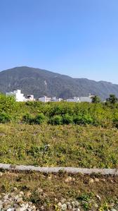 Image of 2695 Sq.ft Residential Plot / Land for sale in Kalagaon, Dehradun for Rs. 16500000