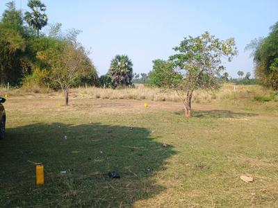 Poonjeri Plot View 2