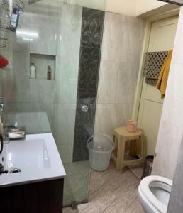 Bathroom Image of 1650 Sq.ft 3 BHK Apartment / Flat for sale in Vasant Kunj New Delhi for Rs. 50000000