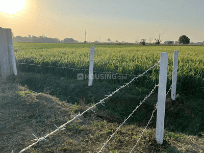 Image of 2070 Sq.ft Residential Plot / Land for sale in Tappal, Aligarh for Rs. 4500000