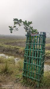 Image of 1255 Sq.ft Residential Plot / Land for sale in Sampatchak, Patna for Rs. 2850000