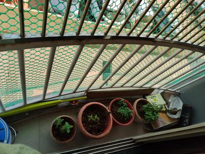 Balcony Image of 1081 Sq.ft 2 BHK Apartment / Flat for sale in Vastral Ahmedabad for Rs. 4500000
