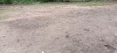 Image of 43200 Sq.ft Residential Plot / Land for sale in Krishnanagar, Nadia for Rs. 60000000