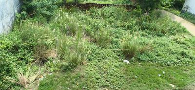 Image of 1360 Sq.ft 3 BHK Independent House for sale in Chandmari, Varanasi for Rs. 1800000