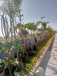 Image of 895 Sq.ft 2 BHK Apartment / Flat for sale in Abode Eden Homes, Dammaiguda, Secunderabad for Rs. 3830000