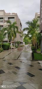 Image of 1755 Sq.ft 3 BHK Apartment / Flat for sale in Maruti Zenobia, Bodakdev, Ahmedabad for Rs. 18500000
