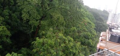 Image of 1100 Sq.ft 2 BHK Apartment / Flat for sale in Malabar Hill, Mumbai for Rs. 62500000