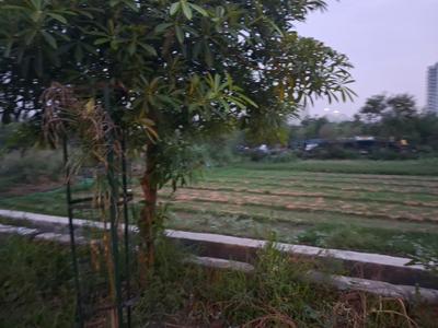 Sector 116 Plot View 2