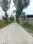 Apparent JB Garden Internal Roads 1