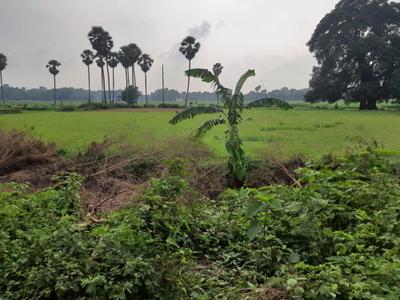 Image of 1200 Sq.ft Residential Plot / Land for sale in Naubatpur, Patna for Rs. 1440000
