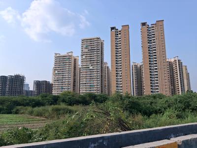 Image of 6750 Sq.ft Residential Plot / Land for sale in Sector 79, Noida for Rs. 130000000