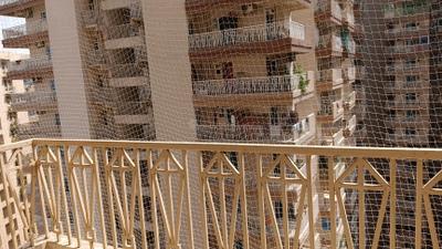 Bedroom Image of 1165 Sq.ft 2 BHK Apartment / Flat for rent in Gaur City 7th Avenue, Noida Extension Greater Noida for Rs. 24000