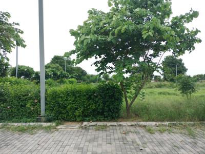 Image of 128 Sq.ft Residential Plot / Land for sale in Adore Smart City 2, Tajupur, Faridabad for Rs. 12800000