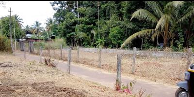Kuttanellur Plot View 3