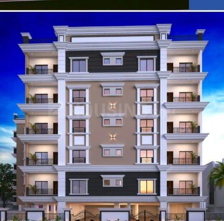 Ts queen More Images 1