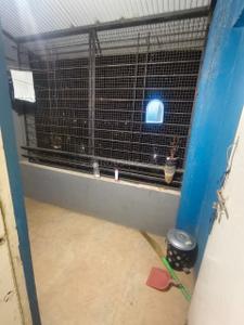 Balcony Image of 550 Sq.ft 1 BHK Apartment / Flat for sale in Kanerkar Nagar Kolhapur for Rs. 2950000