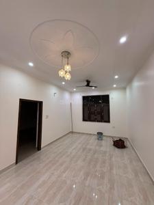 Hall Image of 1300 Sq.ft 2 BHK Builder Floor for rent in Palam Vihar Gurgaon for Rs. 30000