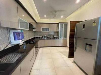 Kitchen Image of 3800 Sq.ft 4 BHK Apartment / Flat for rent in RMZ Latitude, Byatarayanapura Bengaluru for Rs. 210000