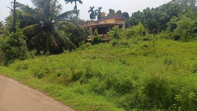 Image of 6534 Sq.ft Residential Plot / Land for sale in Ambagilu, Udupi for Rs. 9750000