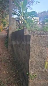 Image of 93654 Sq.ft Residential Plot / Land for sale in Chottanikkara, Kochi for Rs. 6450000