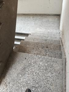 Image of 500 Sq.ft 1 BHK Builder Floor for rent in Aya Nagar, New Delhi for Rs. 13500