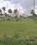 Melekote Plot View 2