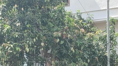 Image of 3600 Sq.ft 4 BHK Independent House for sale in Valasaravakkam, Chennai for Rs. 40000000