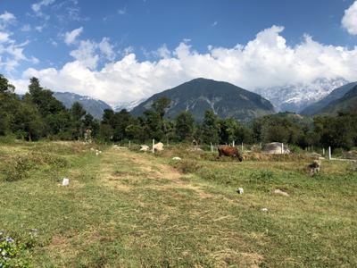 Image of 270 Sq.ft Residential Plot / Land for sale in Loharkadi Upper Sudher, Kangra for Rs. 500000