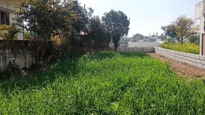 Haripur Plot View 3