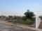 Annur Plot View 2