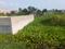 Sonarpur Plot View 2
