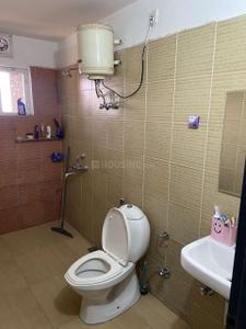 Bathroom Image of 1450 Sq.ft 2 BHK Apartment / Flat for rent in Sector 88 Mohali for Rs. 29000