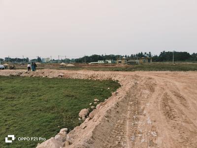 Image of 1600 Sq.ft Residential Plot / Land for sale in Trisulia, Cuttack for Rs. 1500000