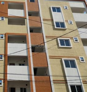 3 BHK Flat
