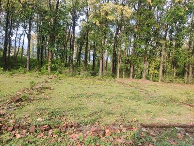 Dunga Plot View 2
