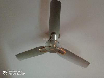 Hall Image of 500 Sq.ft 1 BHK Builder Floor for rent in Hewo Apartments II, Sector 56 Gurgaon for Rs. 35000