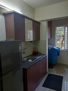 Kitchen Image of 1800 Sq.ft 3 BHK Apartment / Flat for rent in Plama Oceanic, Bejai Mangalore for Rs. 23000