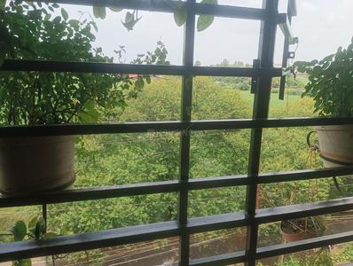 Balcony Image of 963 Sq.ft 2 BHK Apartment / Flat for sale in Lambakheda Bhopal for Rs. 1500000