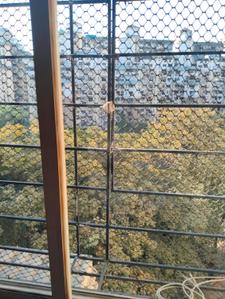 Balcony Image of 1308 Sq.ft 2 BHK Apartment / Flat for sale in CIDCO Seawoods Estate, Seawoods Navi Mumbai for Rs. 36000000