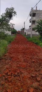 Naubatpur Plot View 2